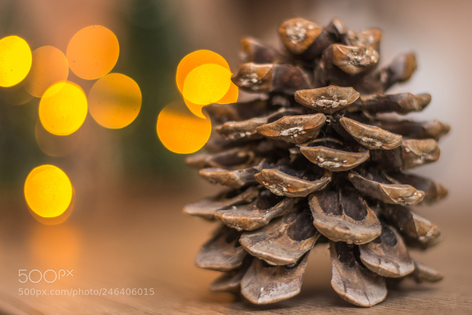 Nikon D7200 sample photo. Pine core, christmas time photography