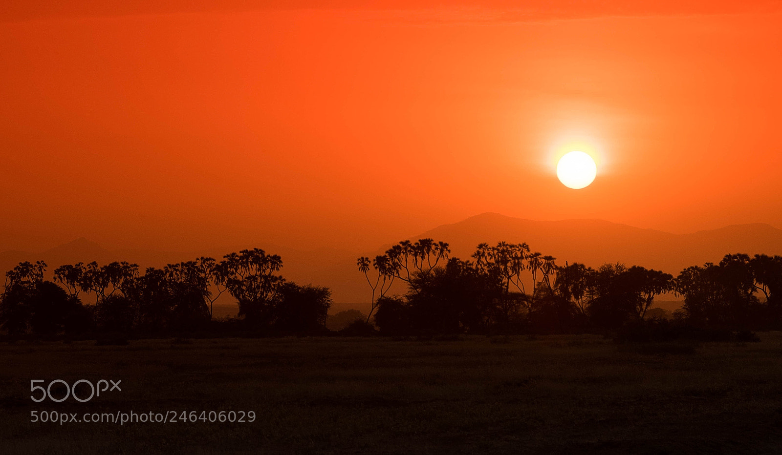 Nikon D810 sample photo. African sunset photography