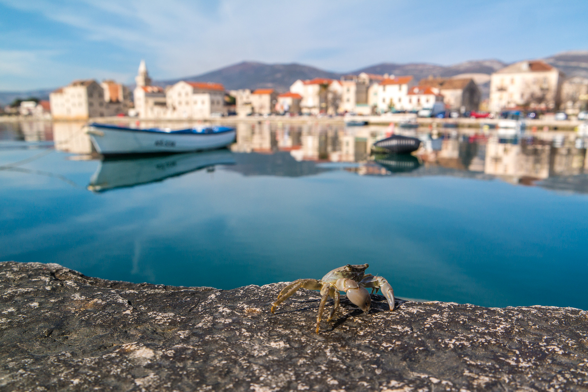 Samsung NX300M sample photo. Crab photography