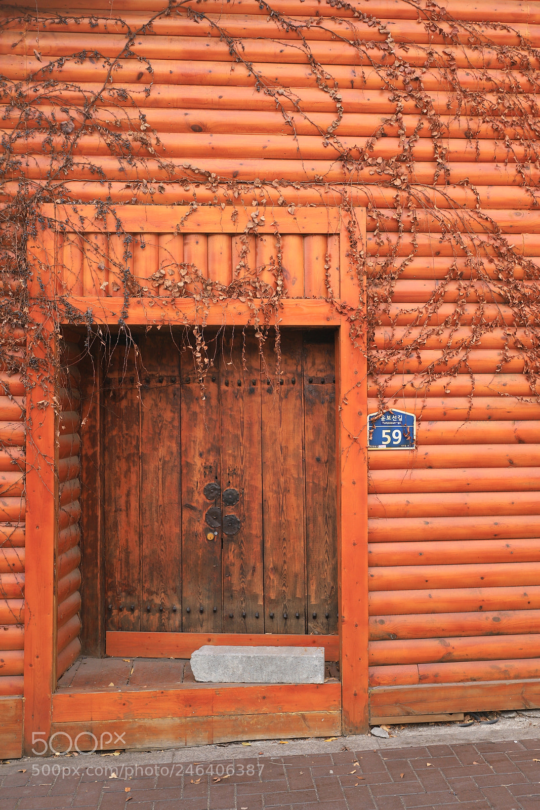 Canon EOS 6D Mark II sample photo. Be closed photography