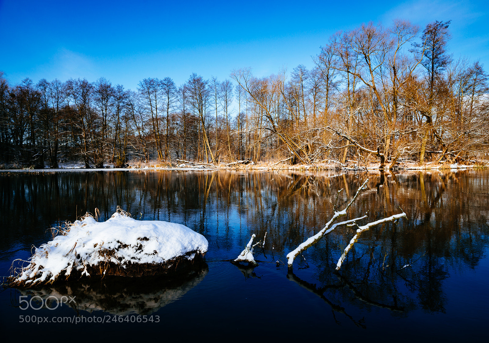 Nikon D800 sample photo. Winter in pruszcz photography