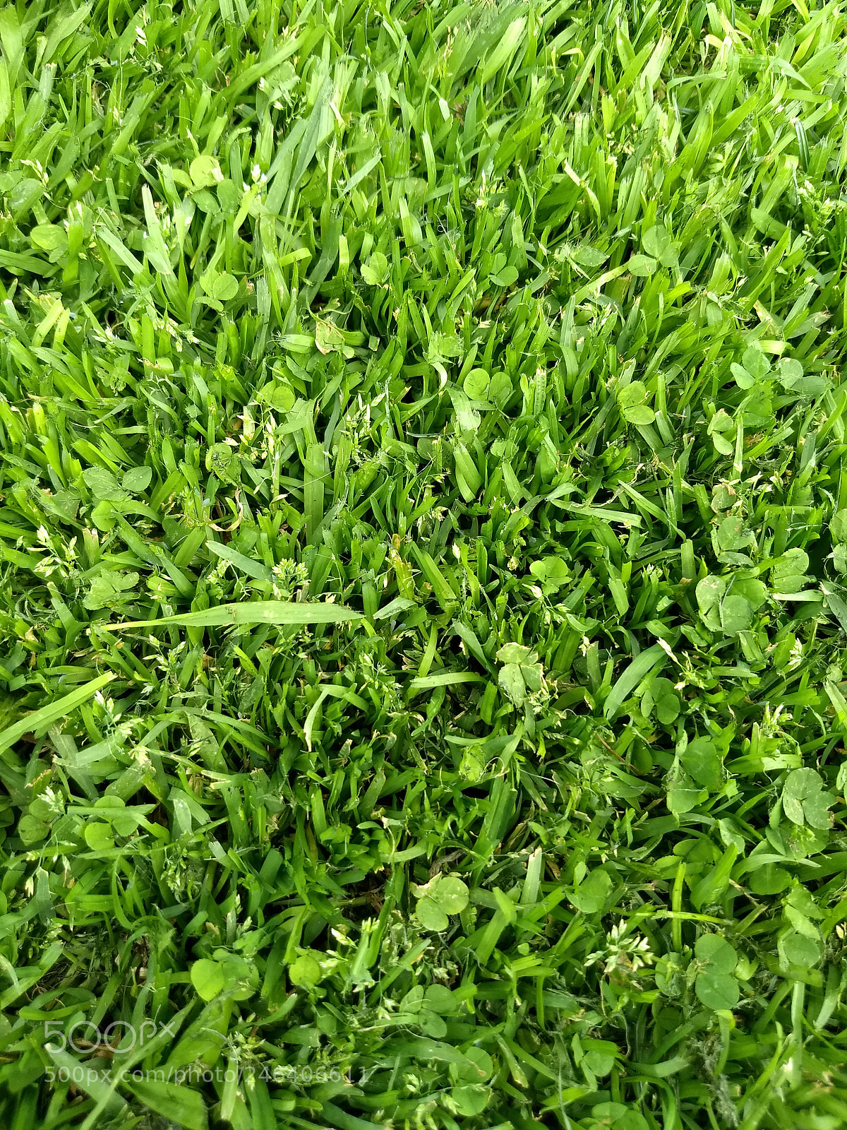 Motorola Moto G (5) Plus sample photo. Untitled photography