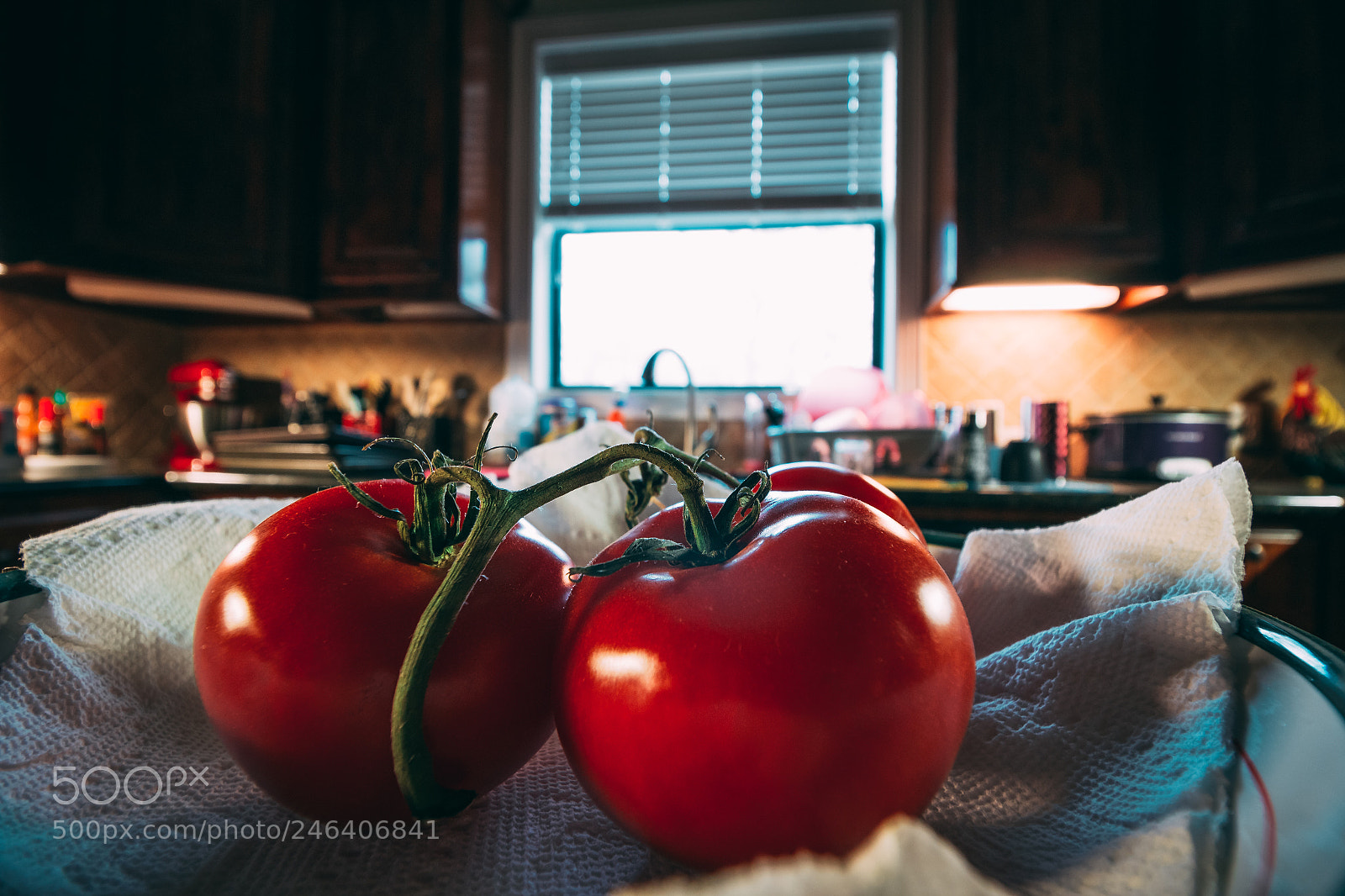 Canon EOS 1200D (EOS Rebel T5 / EOS Kiss X70 / EOS Hi) sample photo. Tomatoes photography