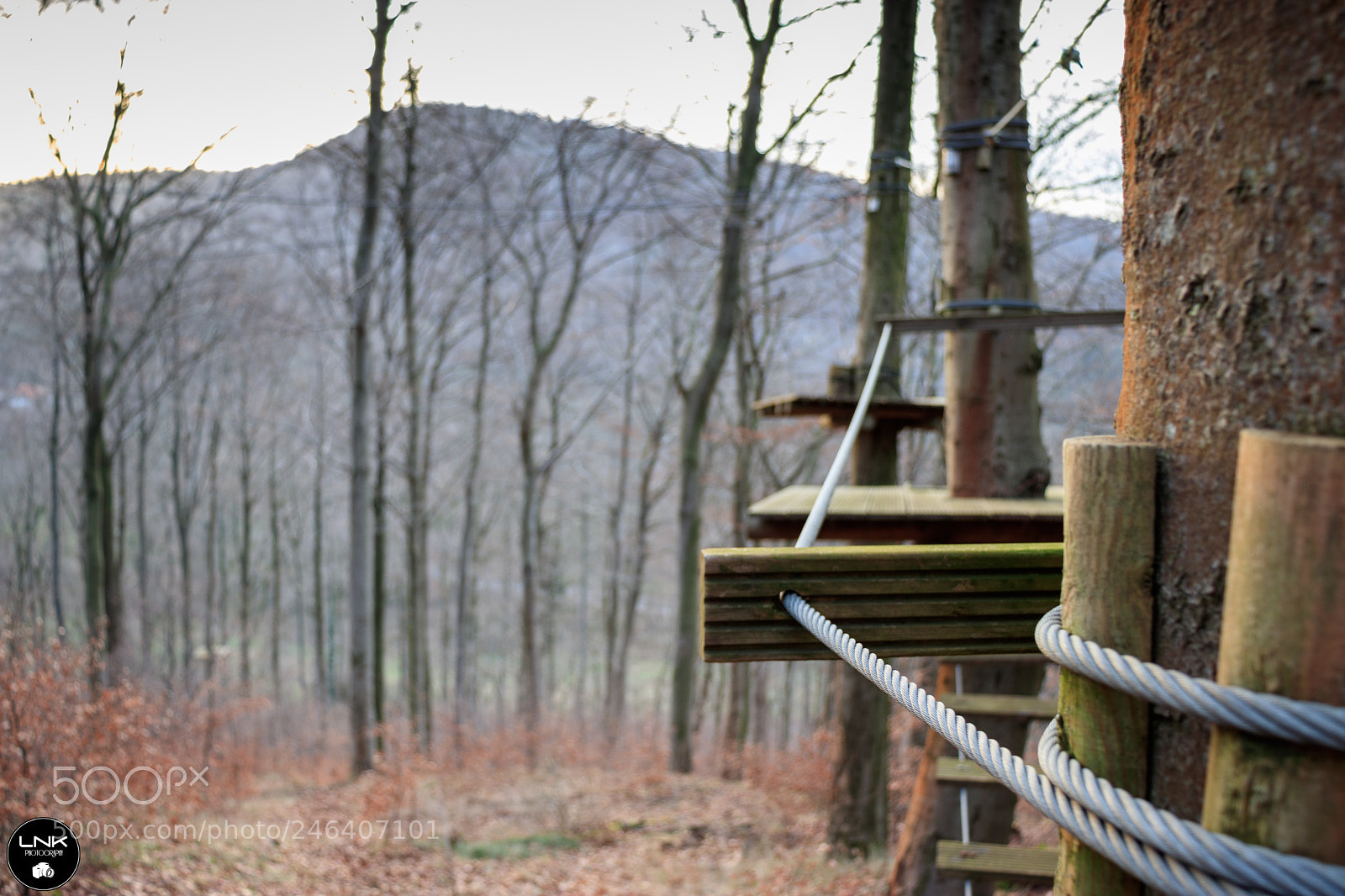 Canon EOS 77D (EOS 9000D / EOS 770D) sample photo. Dont be scared photography