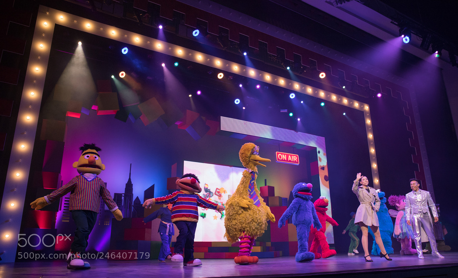Canon EOS 6D Mark II sample photo. Untitled photography