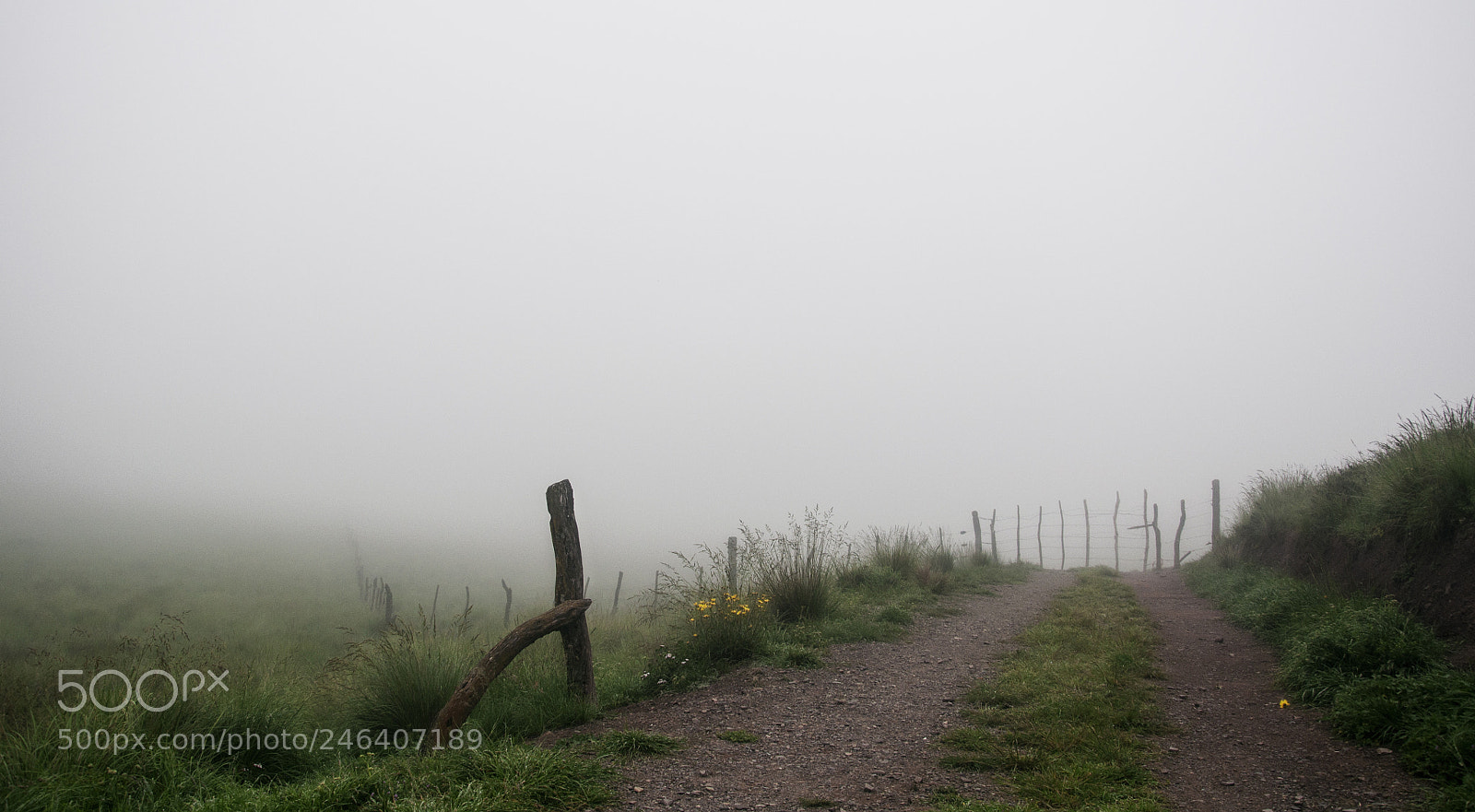 Nikon D90 sample photo. Lost in the mountain photography