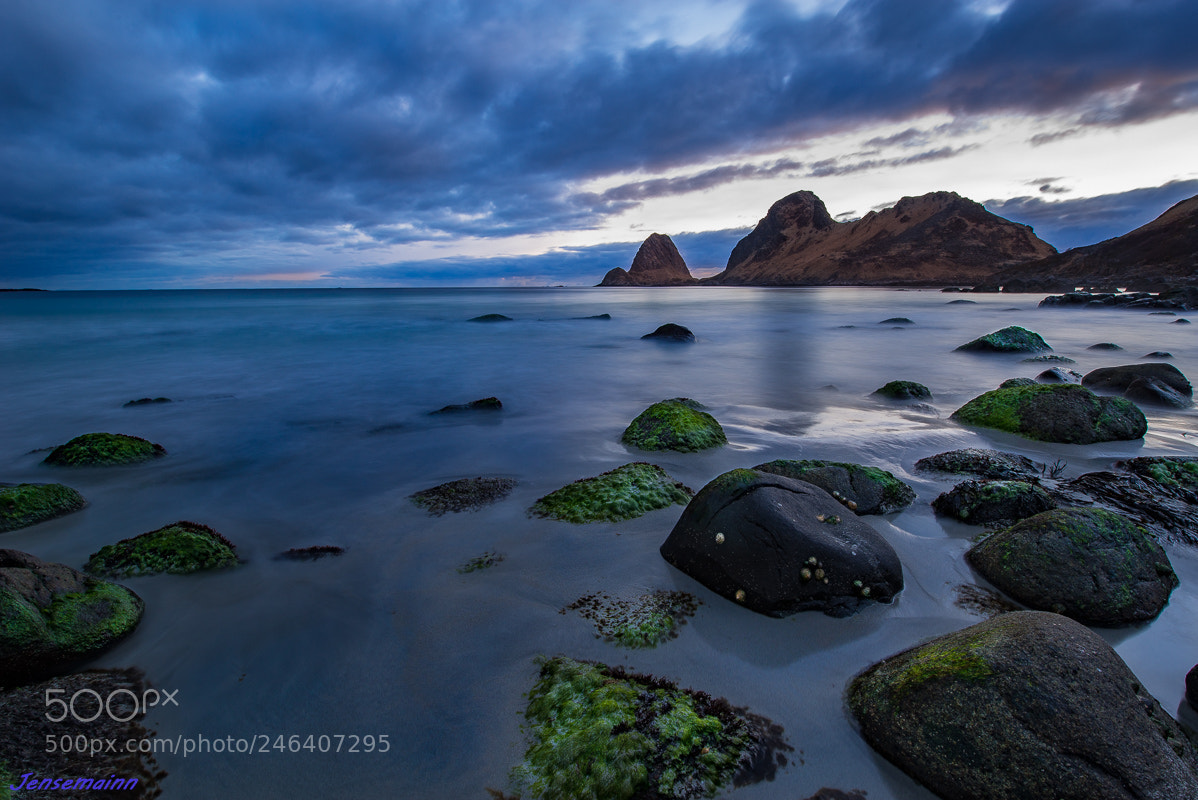 Nikon D610 sample photo. Sandvikbukta photography