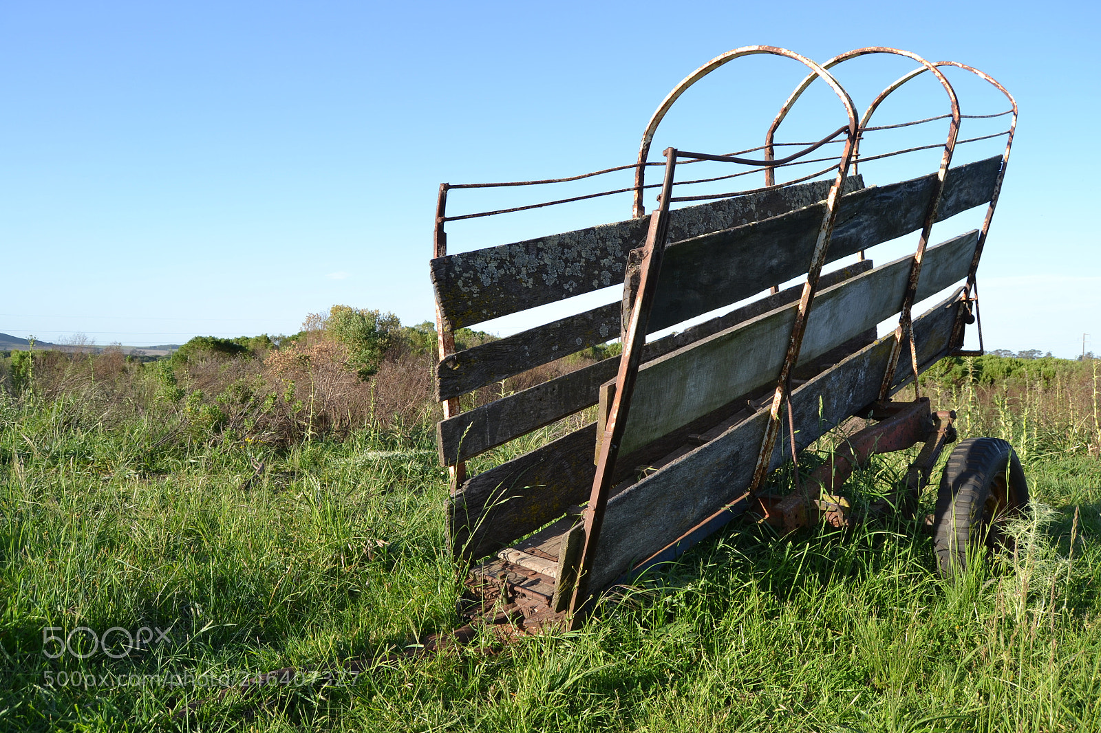 Nikon D3100 sample photo. 23949259867.jpg photography