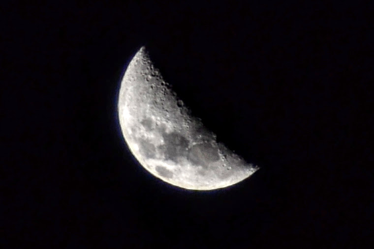 Nikon D3100 sample photo. 23949654587.jpg photography