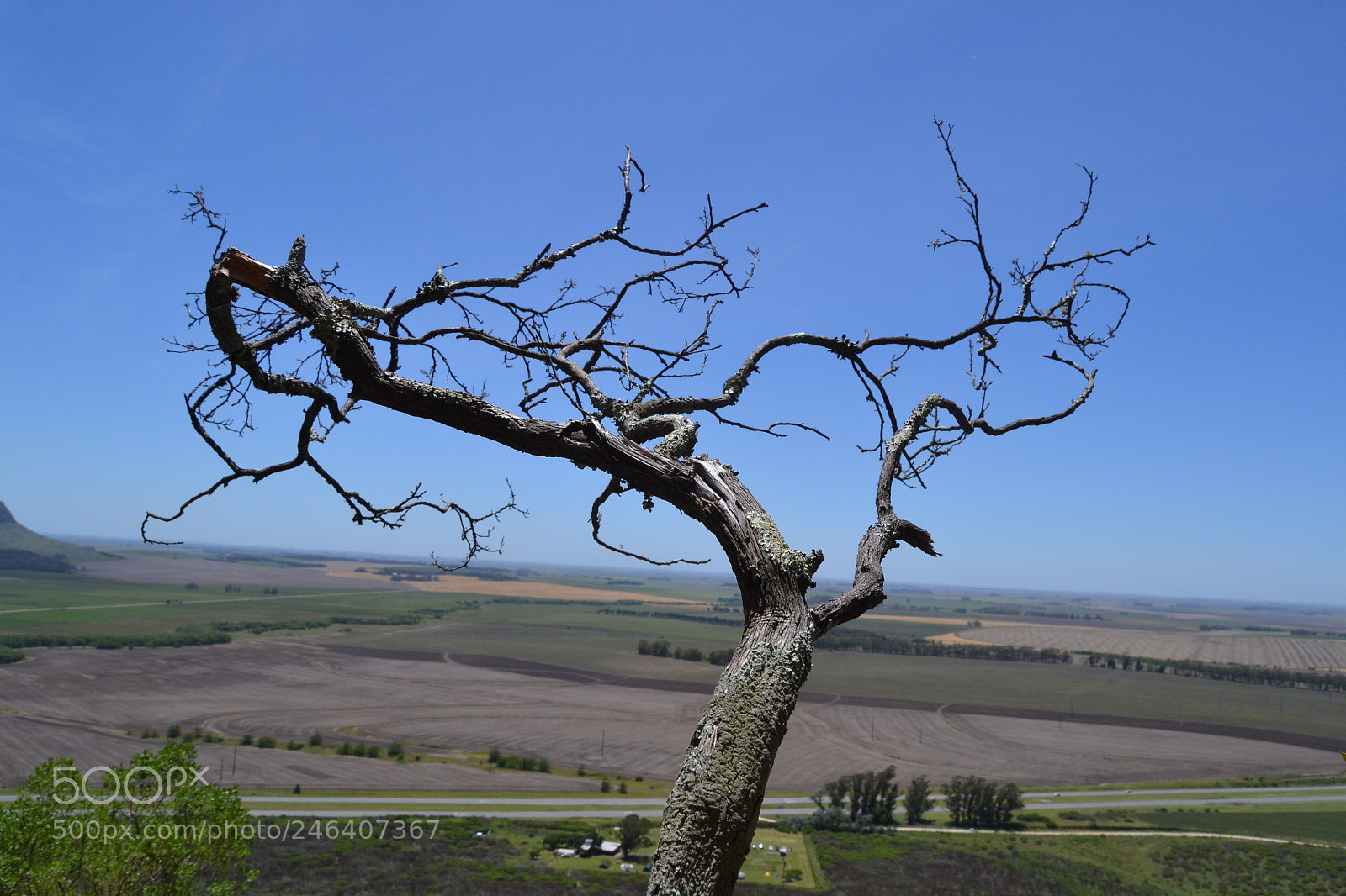 Nikon D3100 sample photo. 27038103509.jpg photography