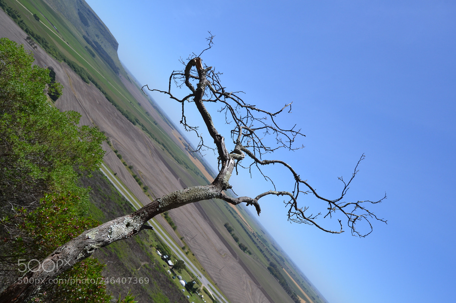 Nikon D3100 sample photo. 38097670444.jpg photography