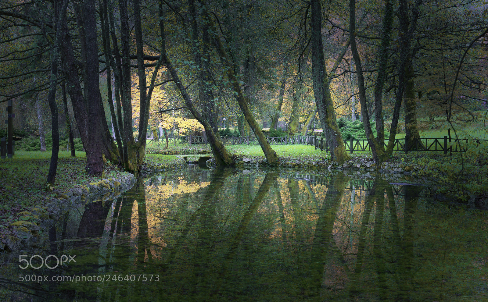Nikon D610 sample photo. Reflection photography