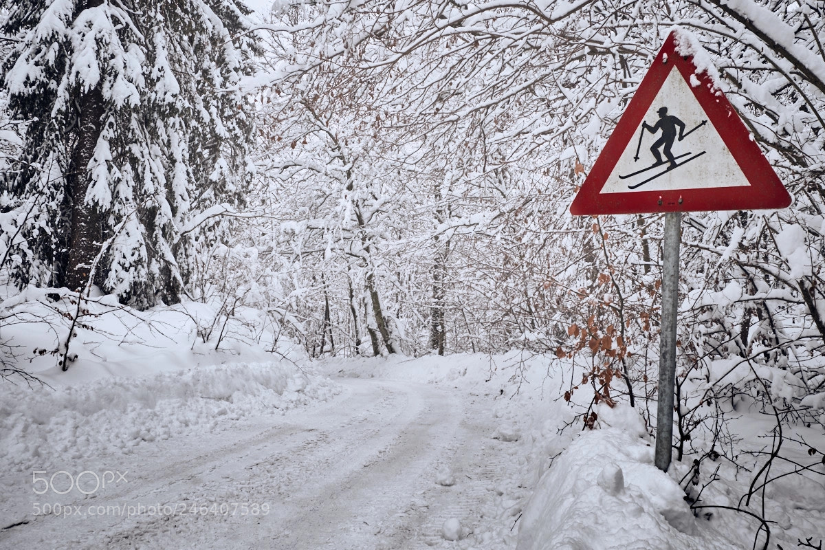 Fujifilm X-T1 sample photo. Norwegian road photography