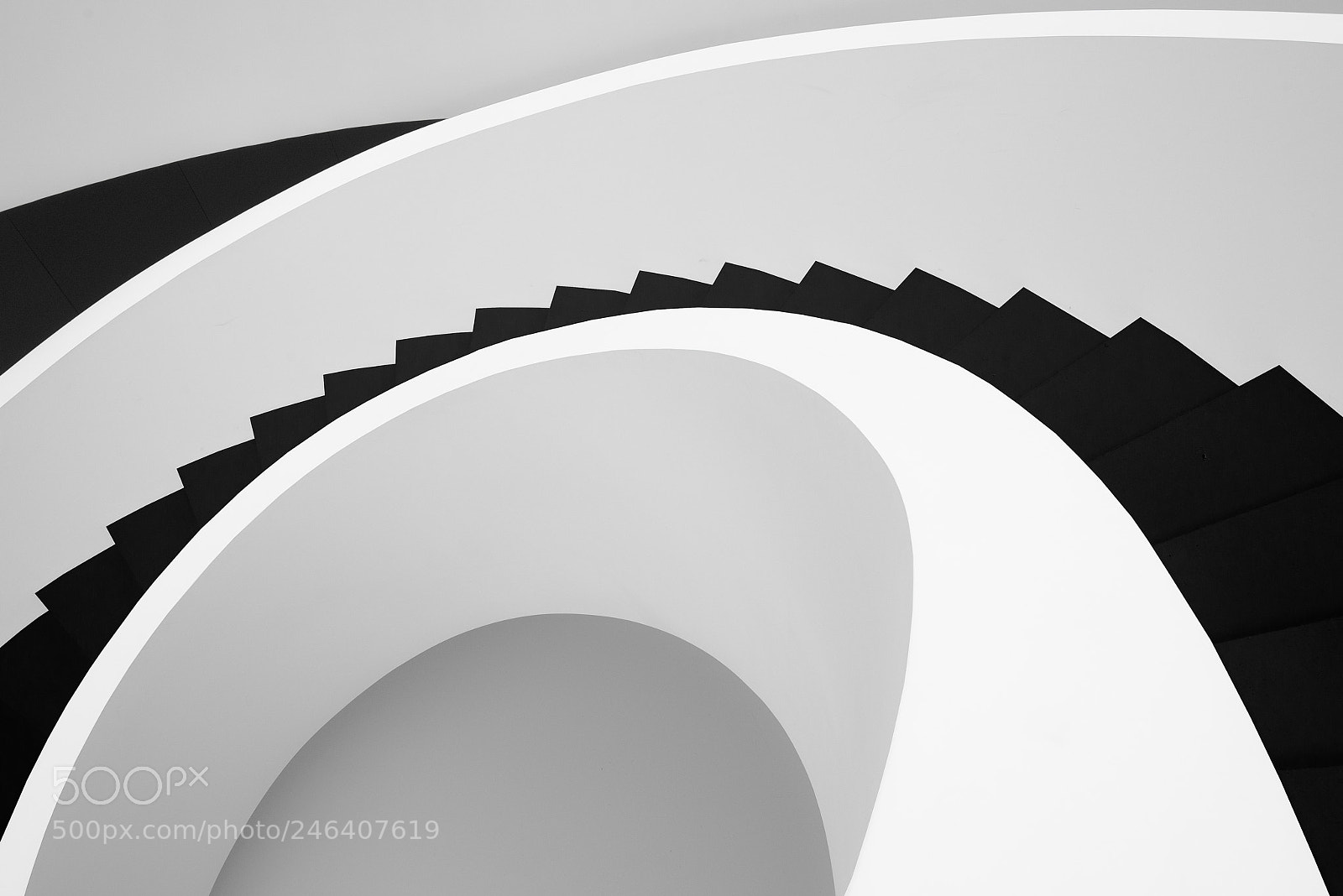 Nikon D610 sample photo. Curved photography