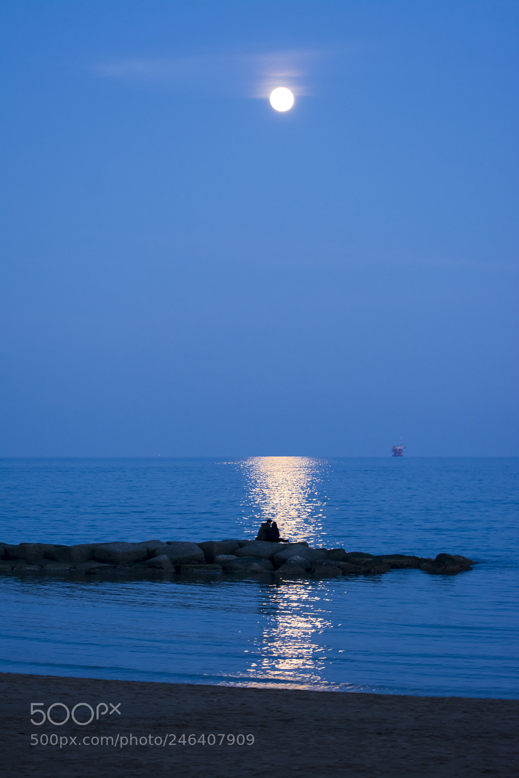 Nikon D7100 sample photo. Untitled photography
