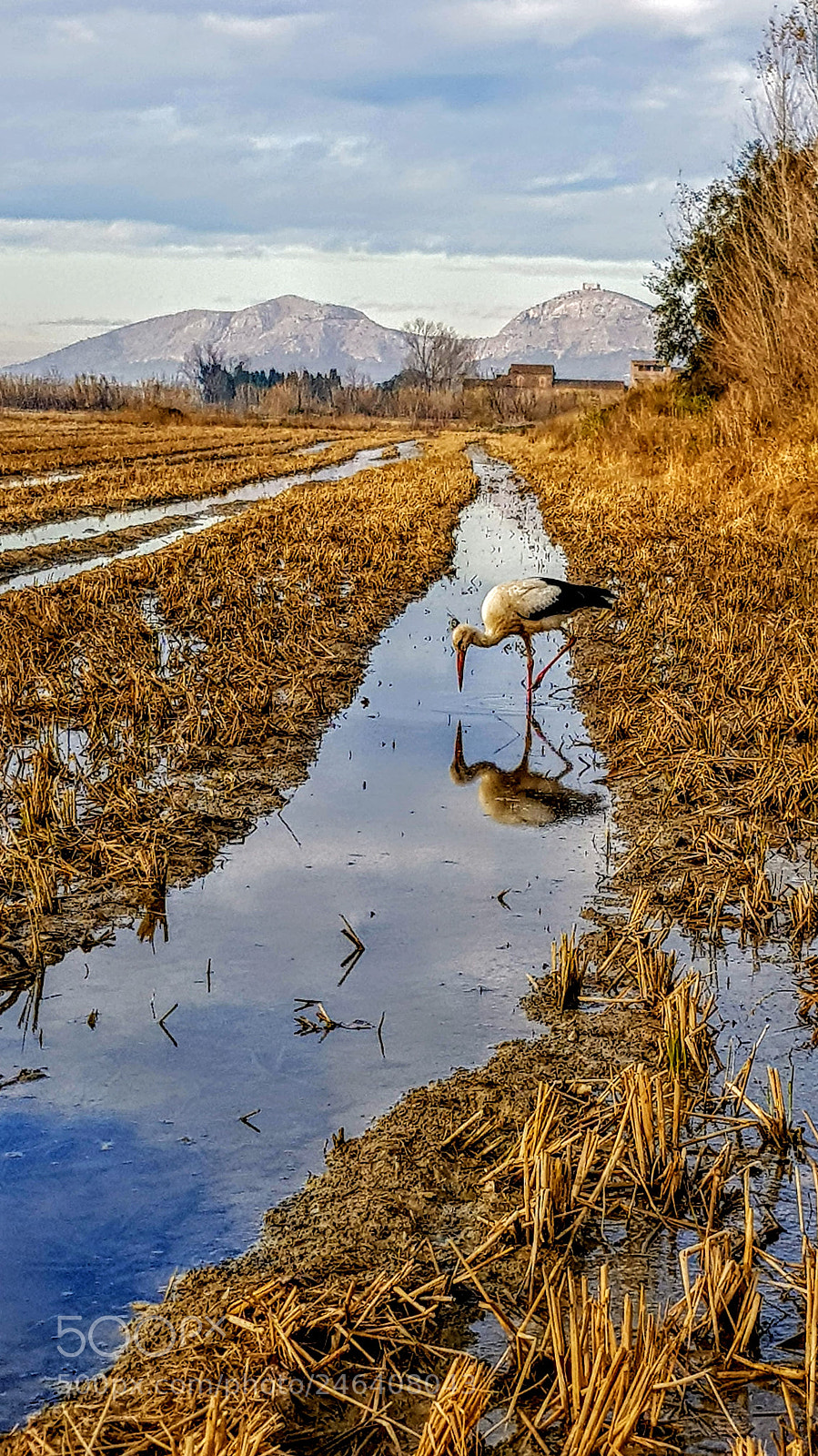Samsung Galaxy S8 sample photo. Empordà photography