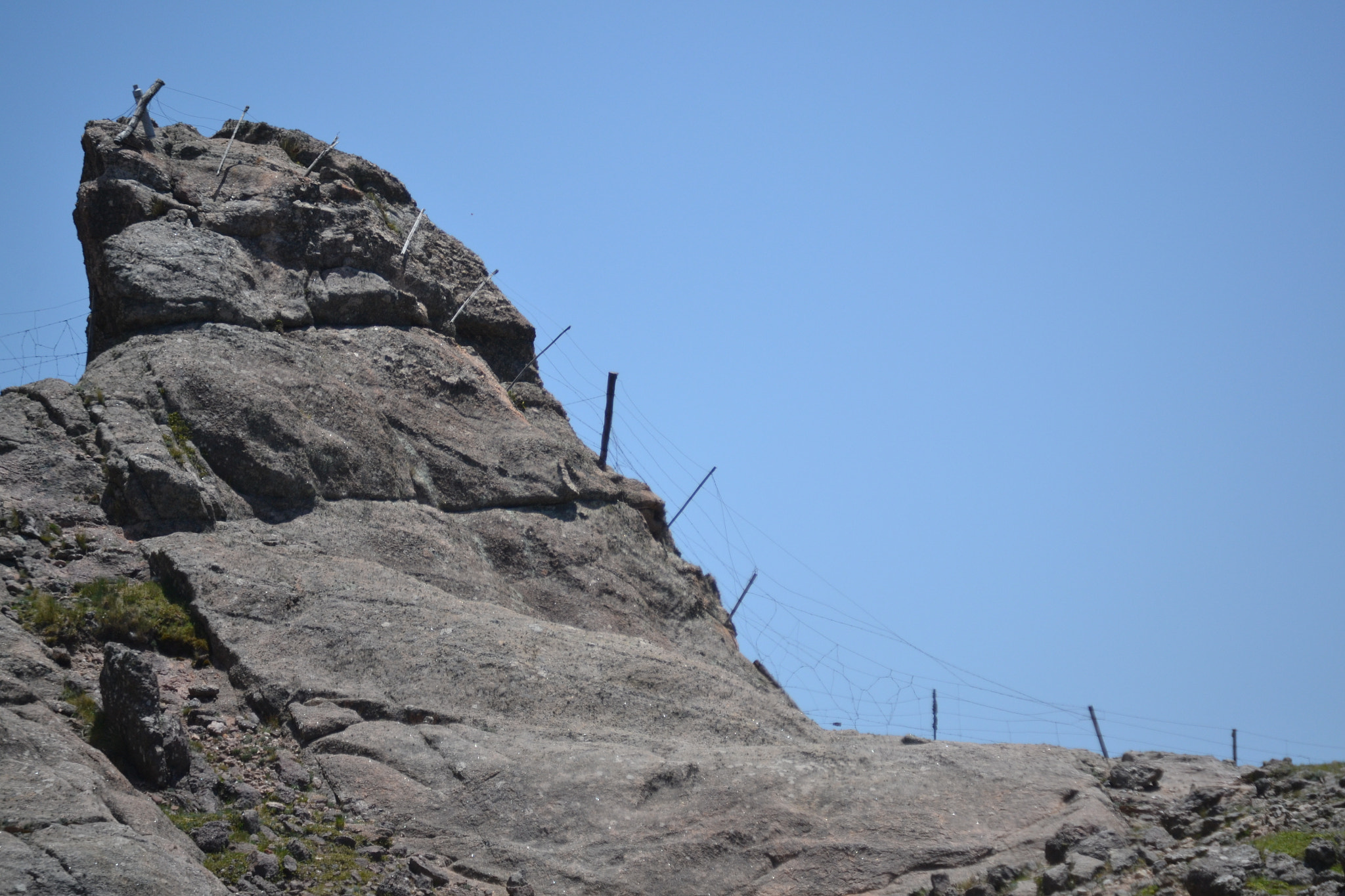 Nikon D3100 sample photo. 24941730978.jpg photography