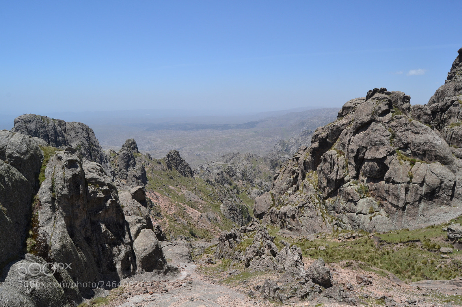 Nikon D3100 sample photo. 23949480667.jpg photography