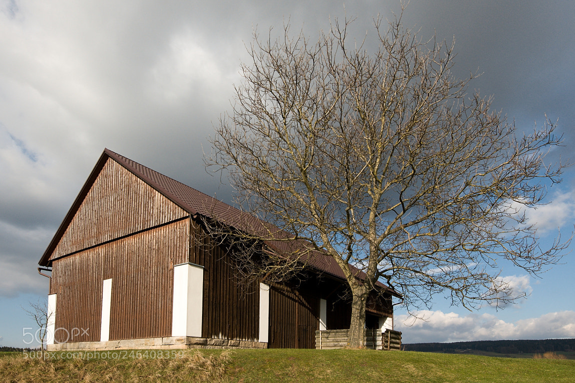 Nikon D300 sample photo. In village photography