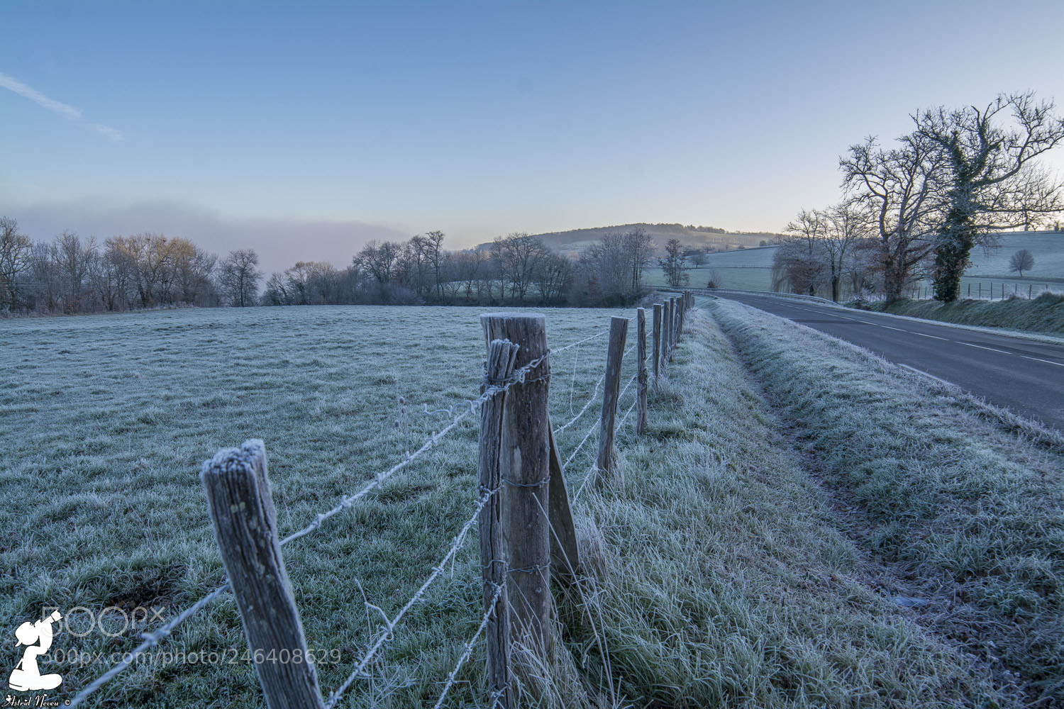 Nikon D7100 sample photo. Frosted morning photography