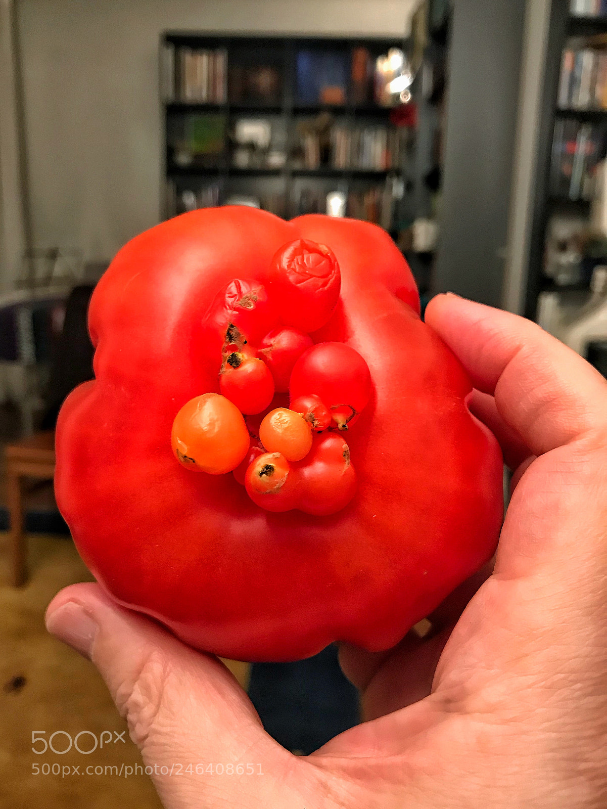 Apple iPhone 7 sample photo. Food for thought photography