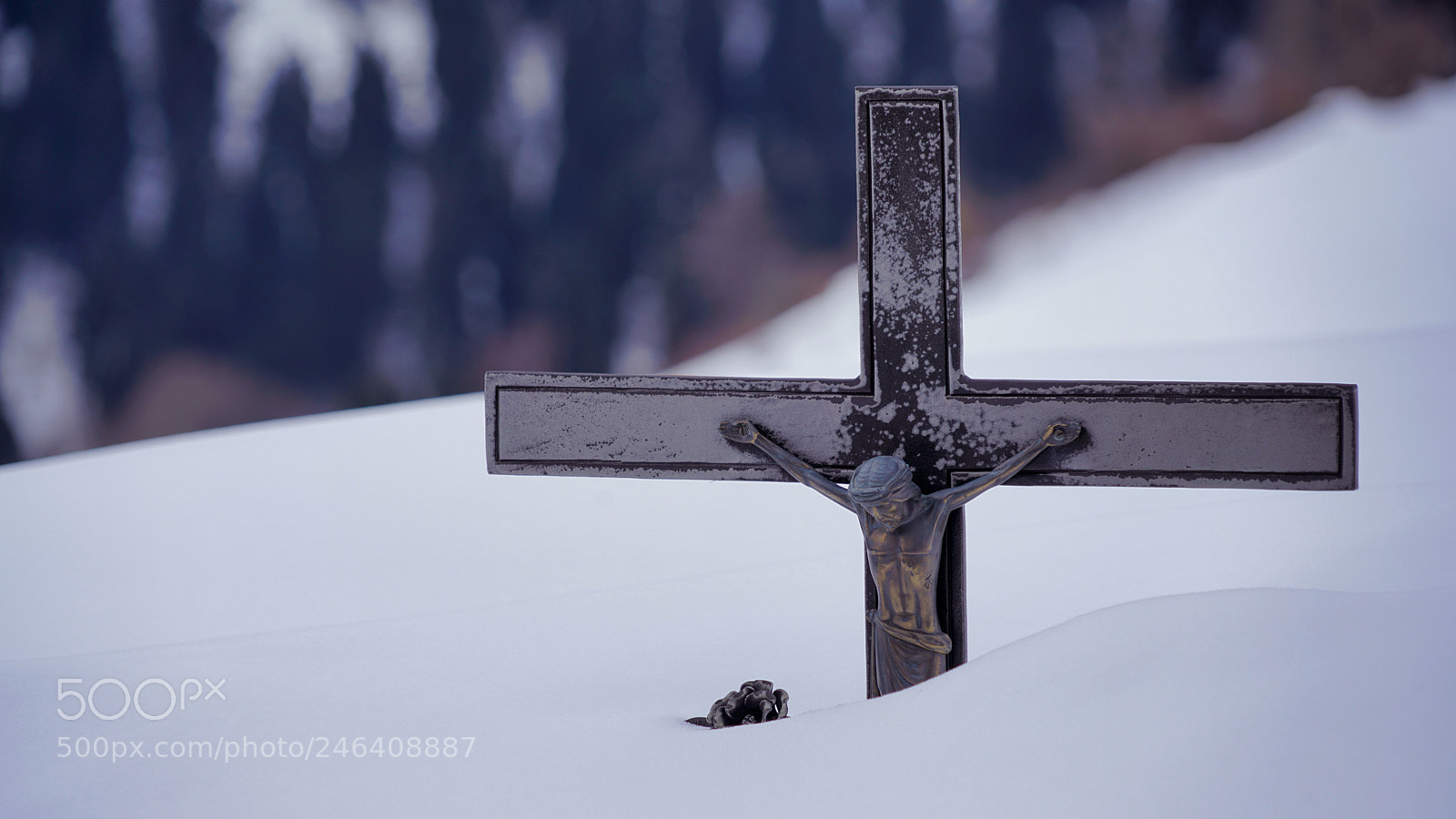 Sony a7R II sample photo. Snowy silence photography