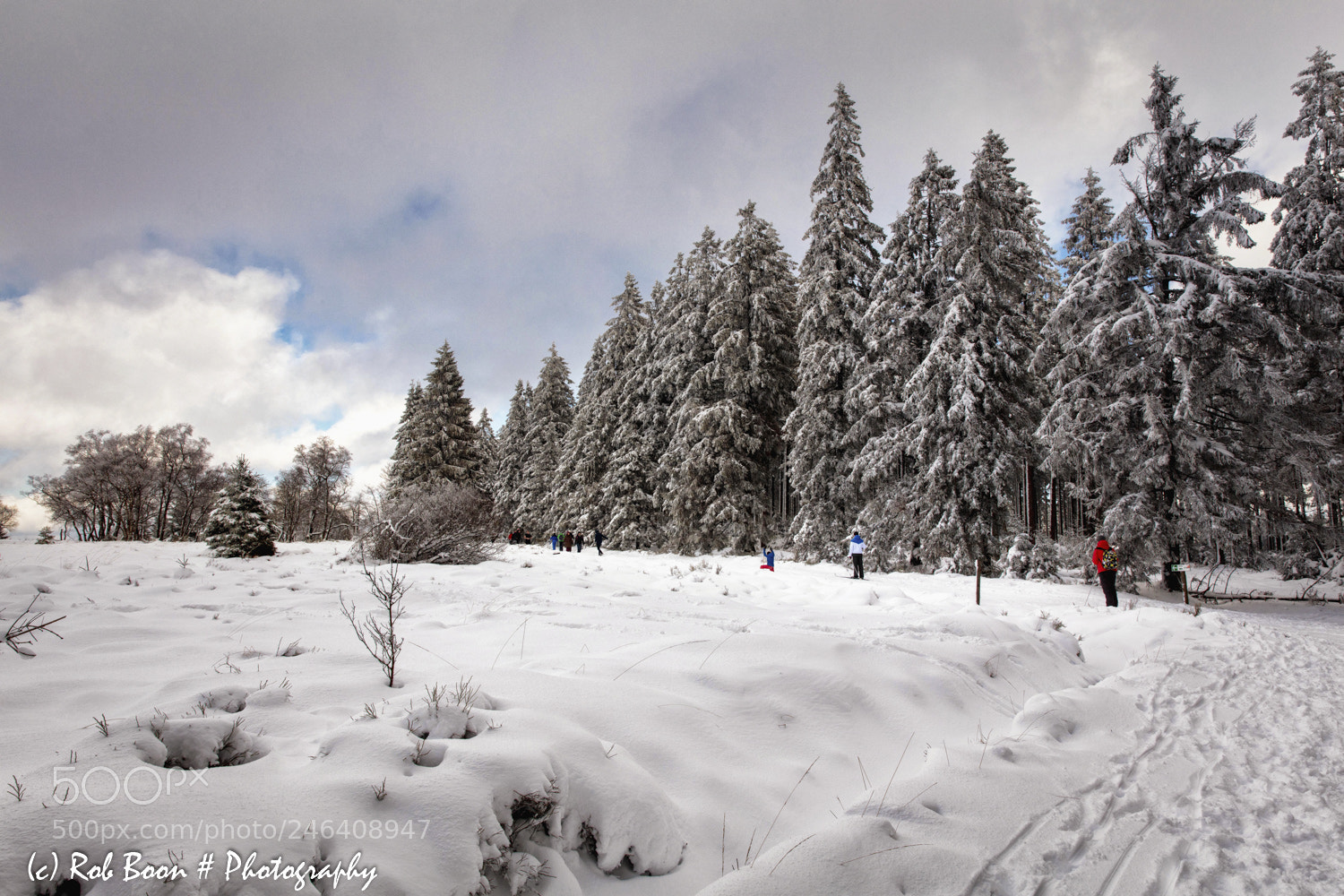 Canon EOS 5DS sample photo. Winter @ botrange 12 photography