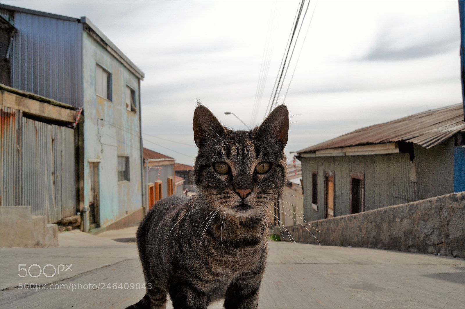Nikon D3100 sample photo. 2017. chile photography