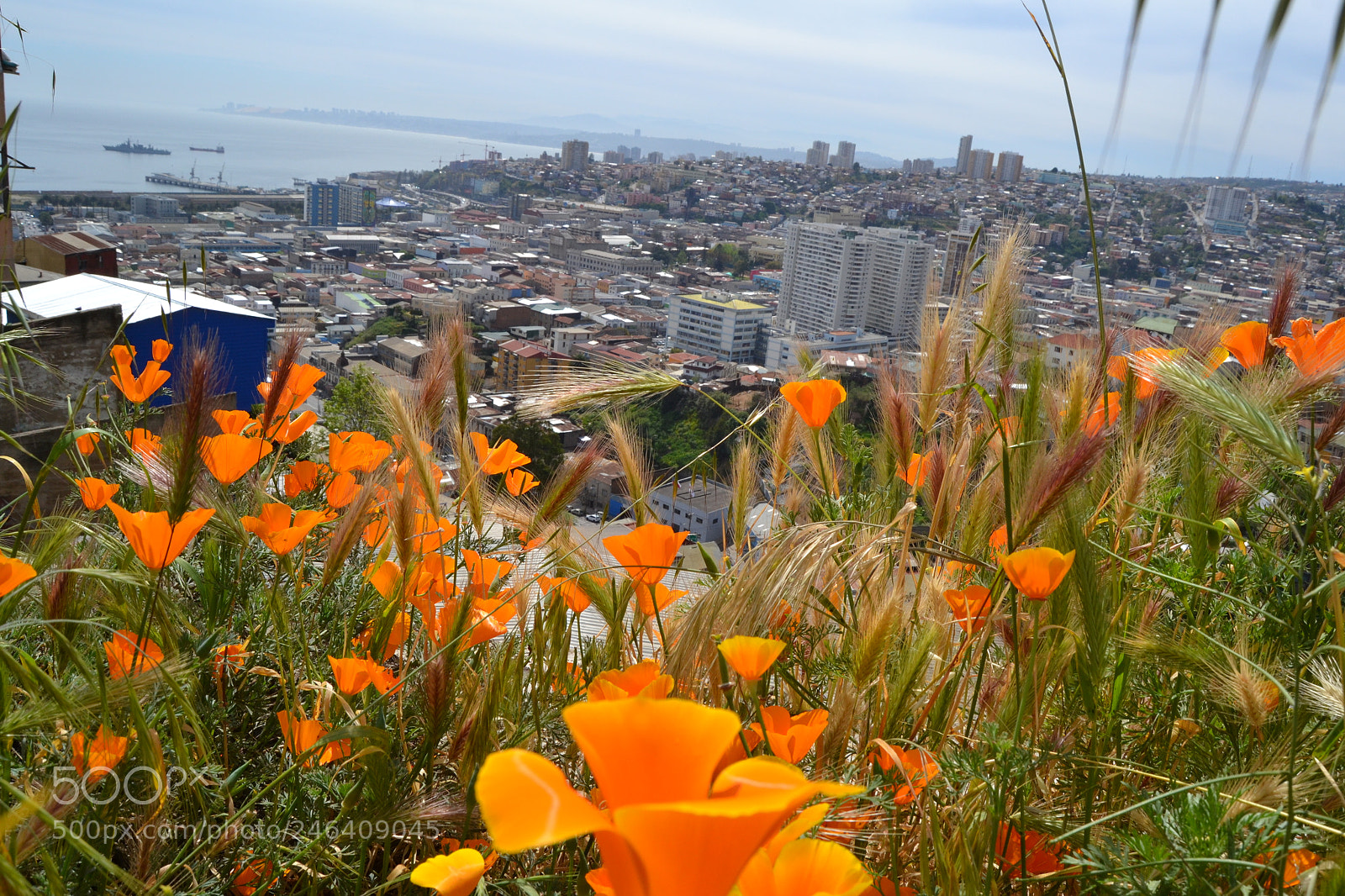 Nikon D3100 sample photo. 2017. chile photography