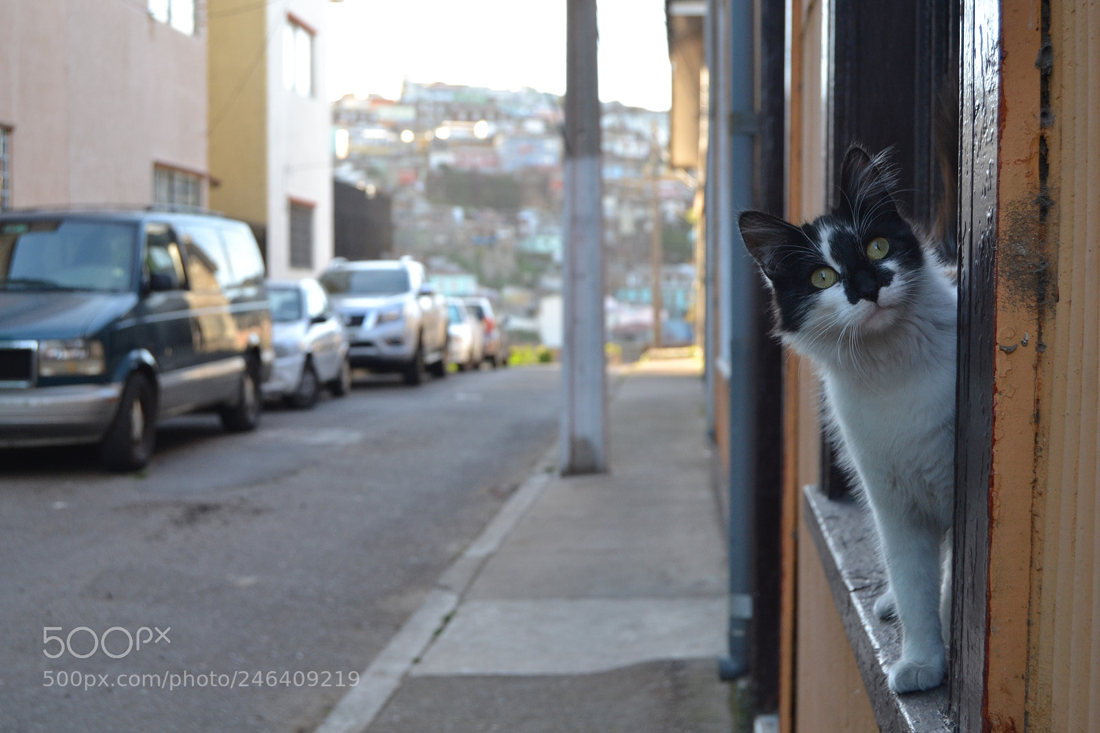 Nikon D3100 sample photo. 2017. chile photography