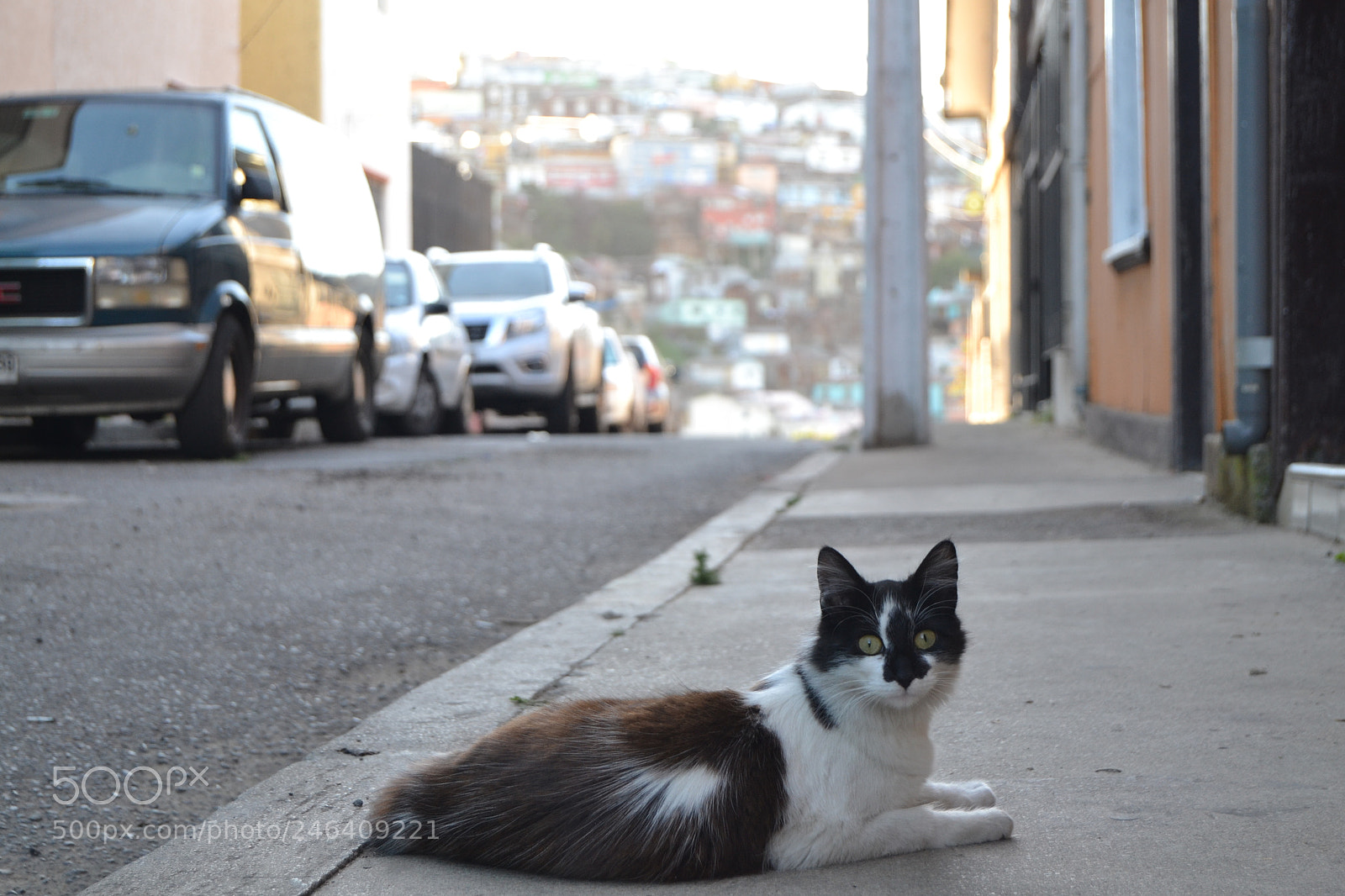 Nikon D3100 sample photo. 2017. chile photography