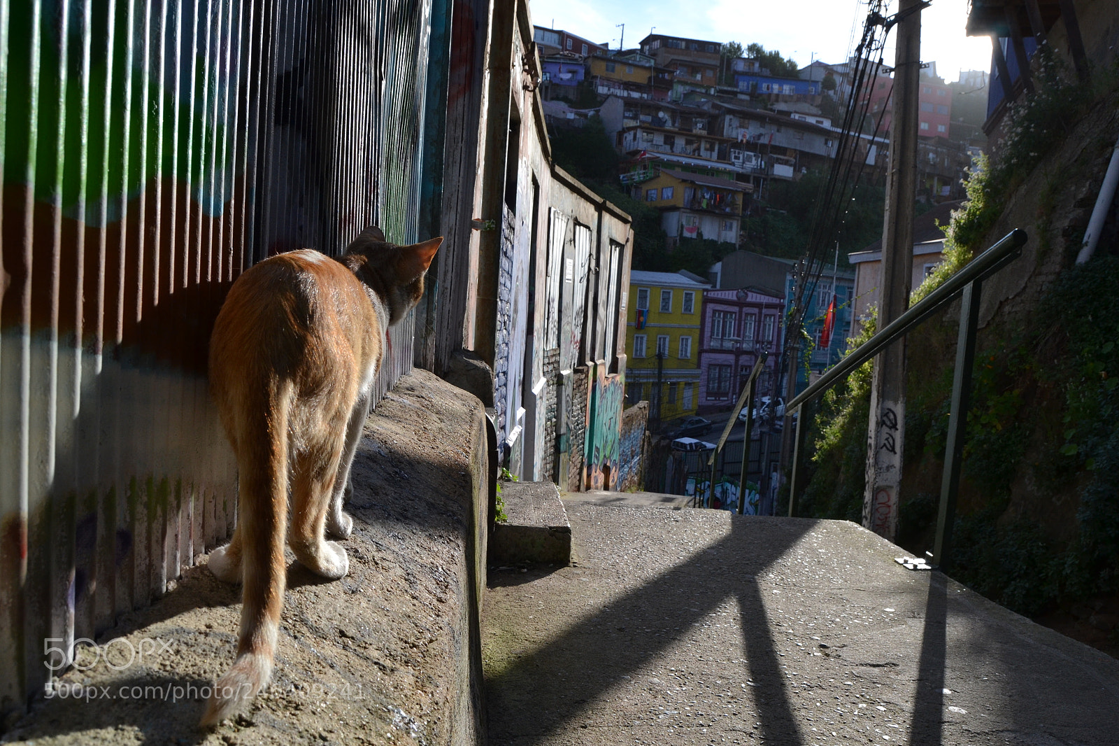 Nikon D3100 sample photo. 2017. chile photography