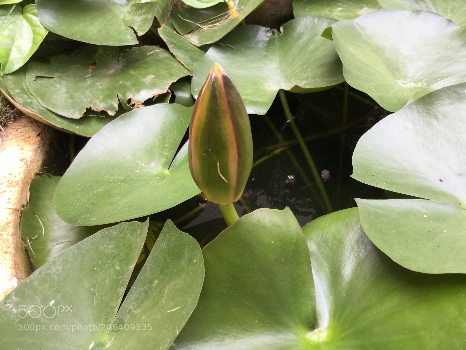 Apple iPad Air 2 sample photo. Untitled photography