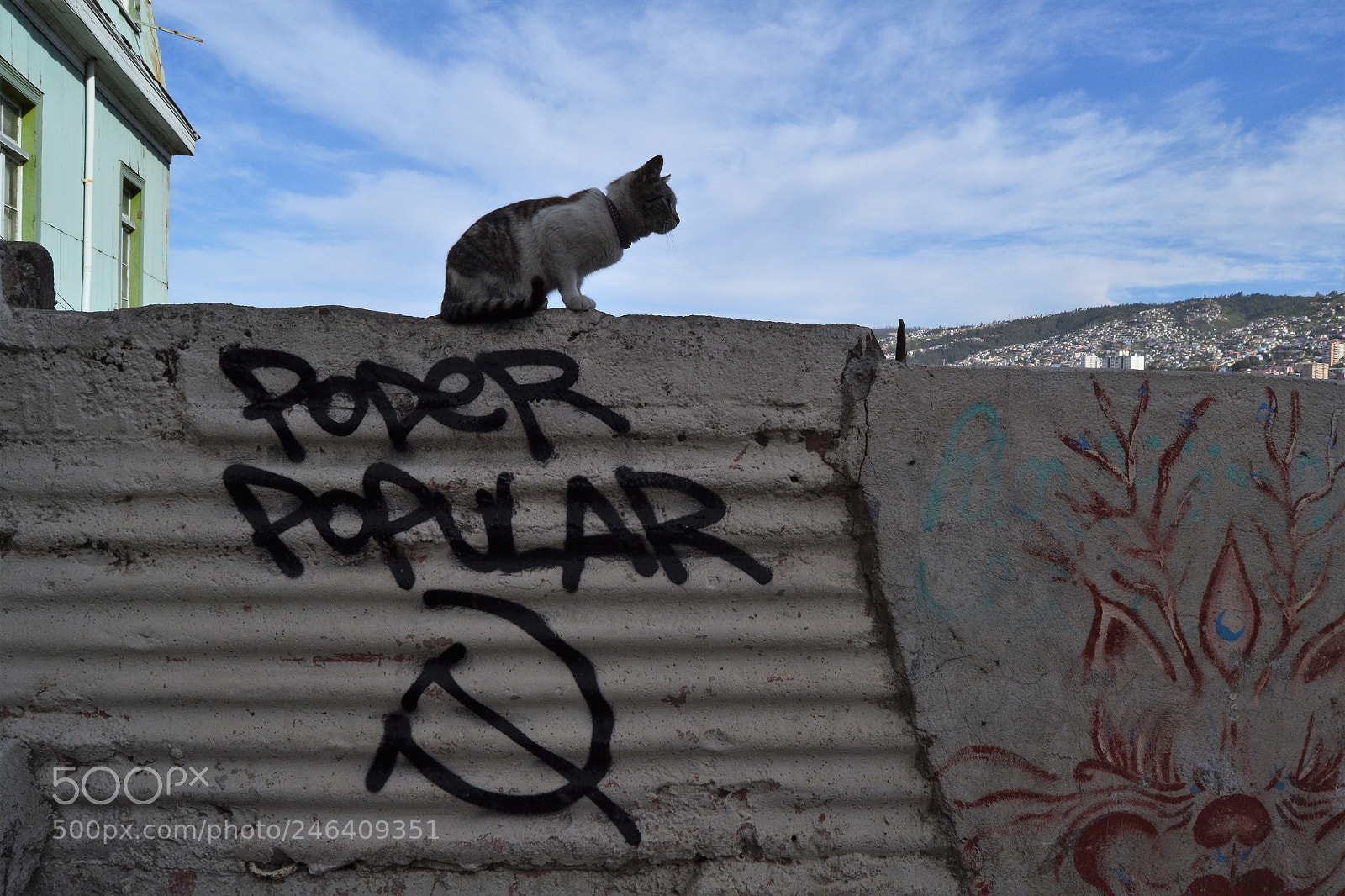 Nikon D3100 sample photo. 2017. chile photography