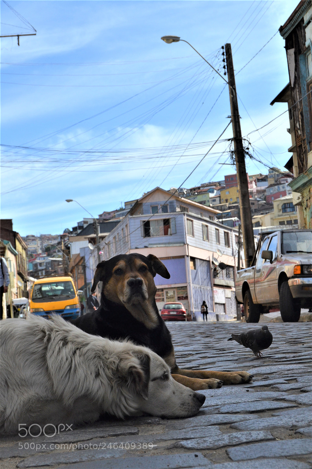 Nikon D3100 sample photo. 2017. chile photography
