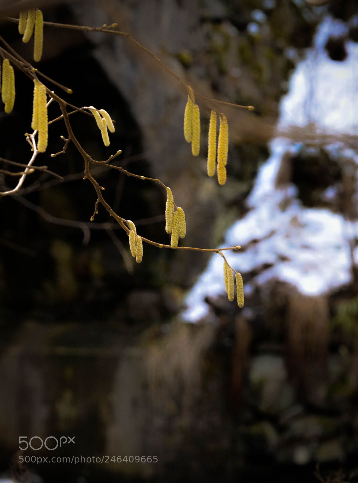 Nikon D5200 sample photo. Al pendants. photography