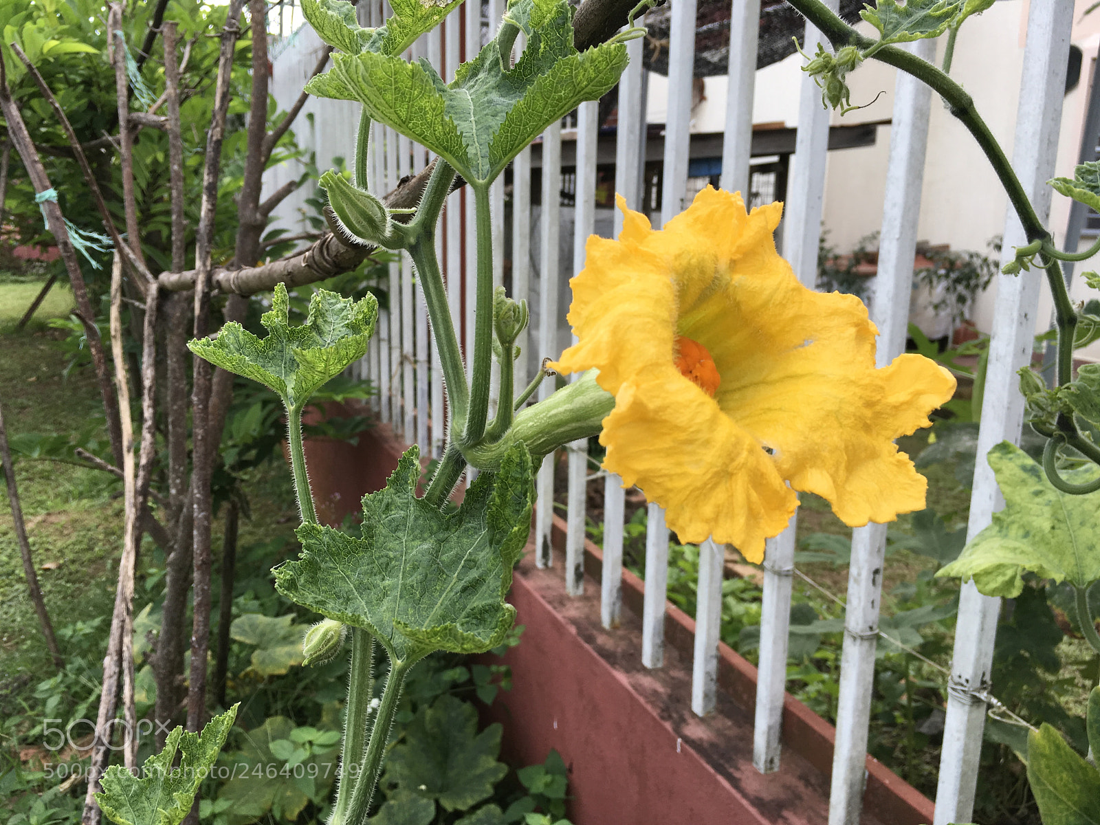 Apple iPad Pro sample photo. Untitled photography