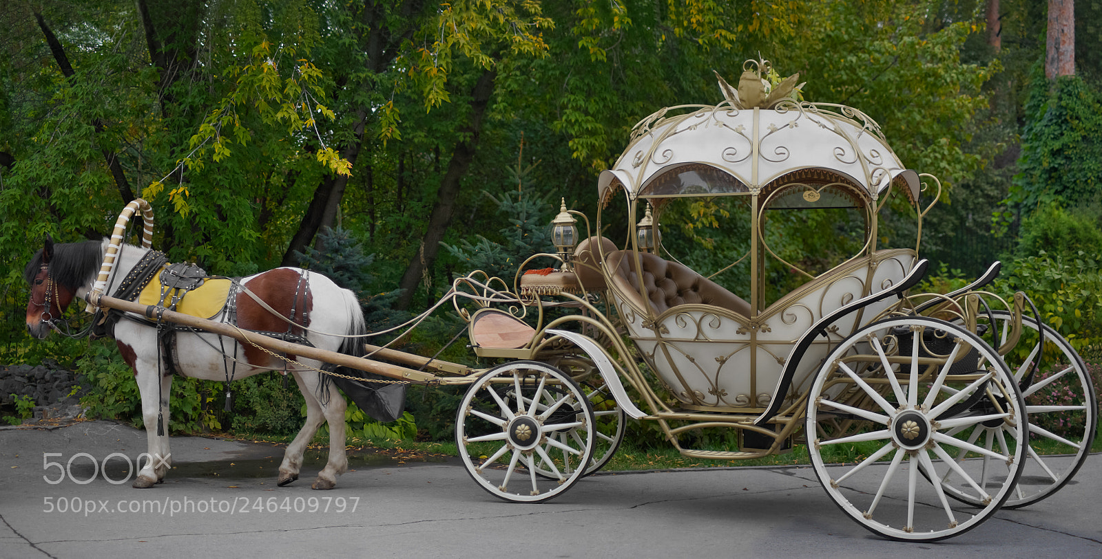 Sony a99 II sample photo. The coach photography