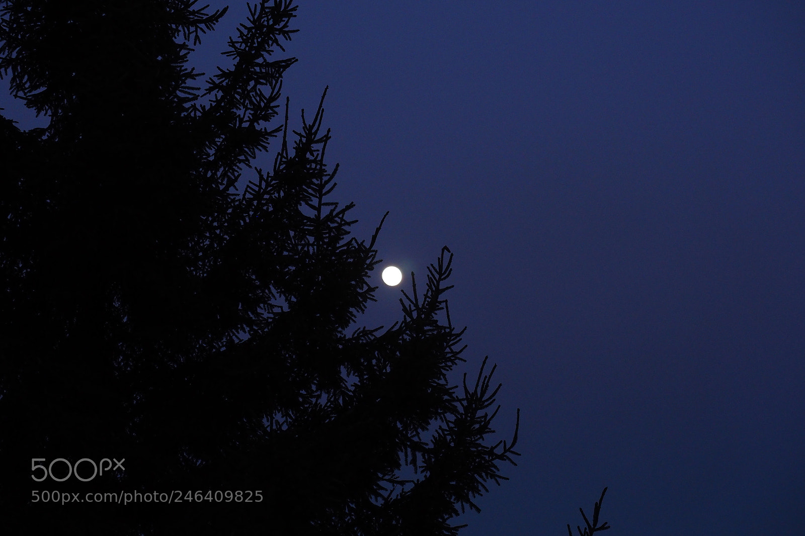 Olympus OM-D E-M10 II sample photo. Moon photography