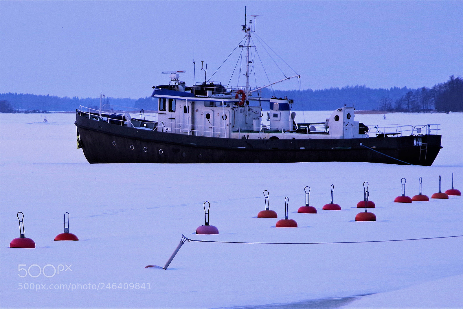 Pentax K-1 sample photo. Waiting photography
