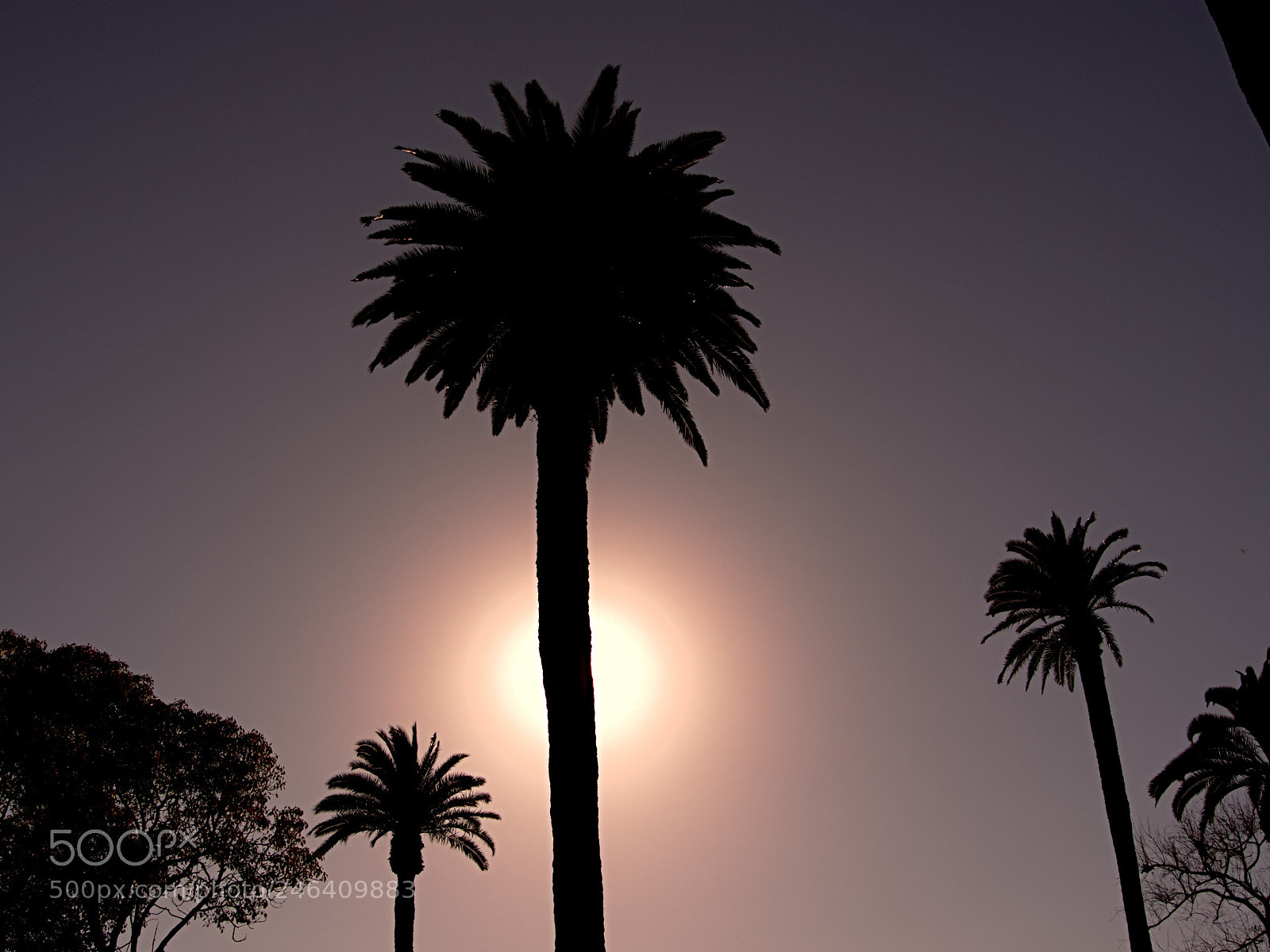 Sony Cyber-shot DSC-RX100 III sample photo. Dark sunset photography