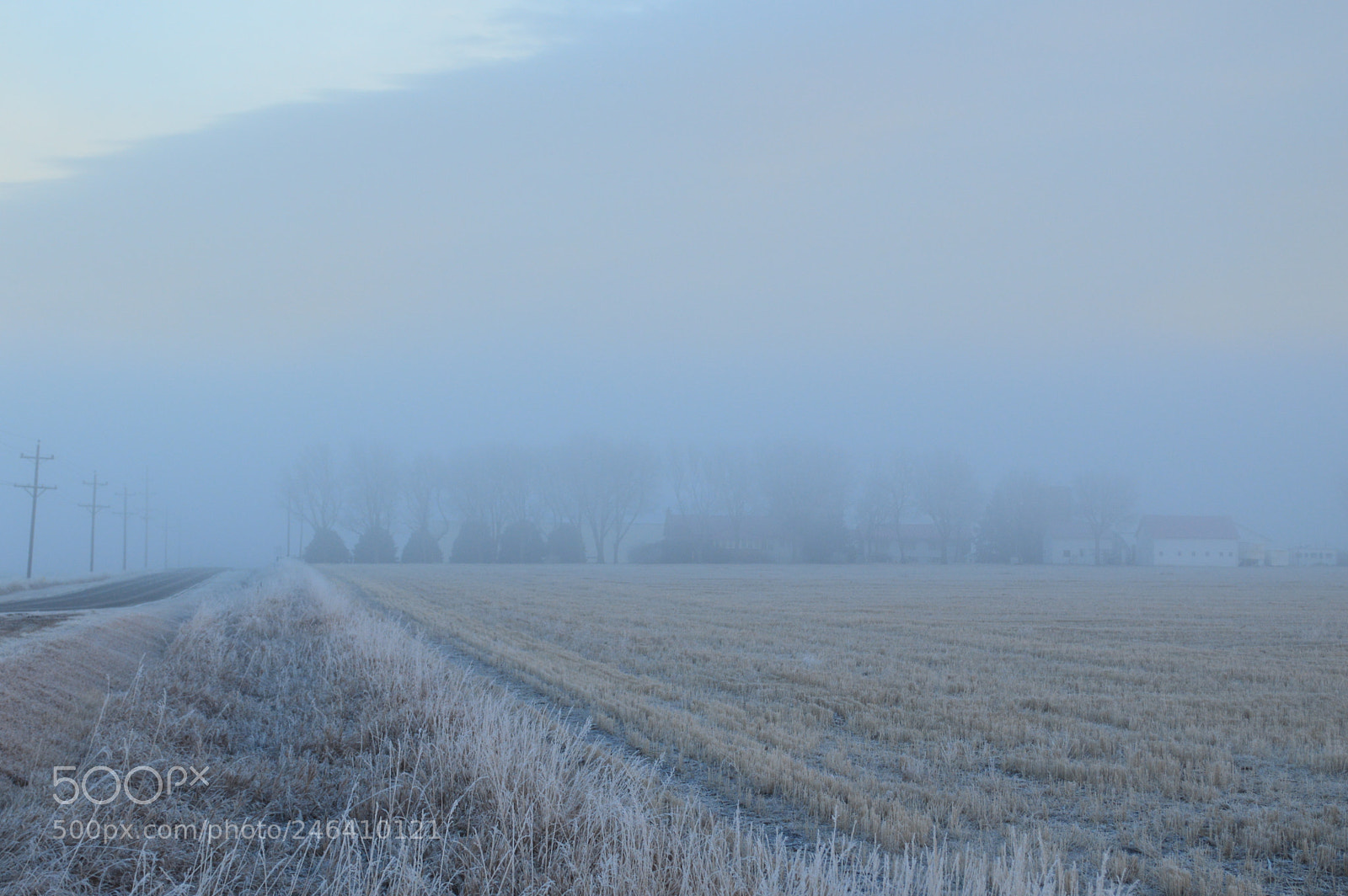 Nikon D3200 sample photo. Fog farm photography