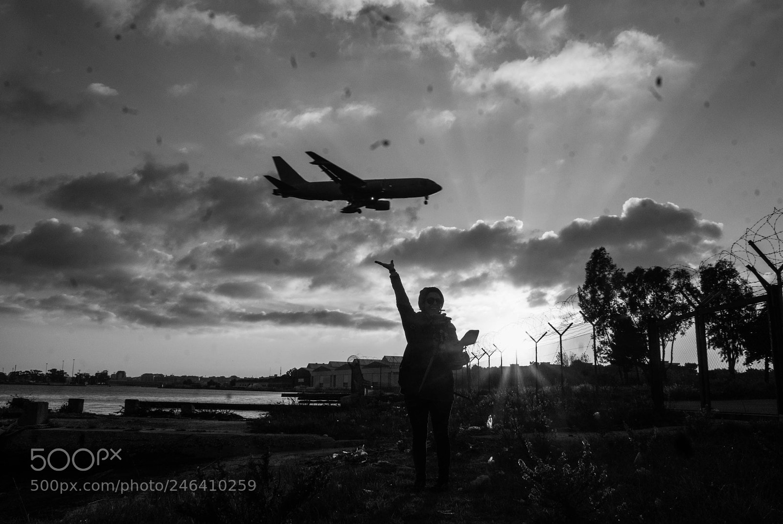Sony Alpha DSLR-A200 sample photo. Flying silhouette photography