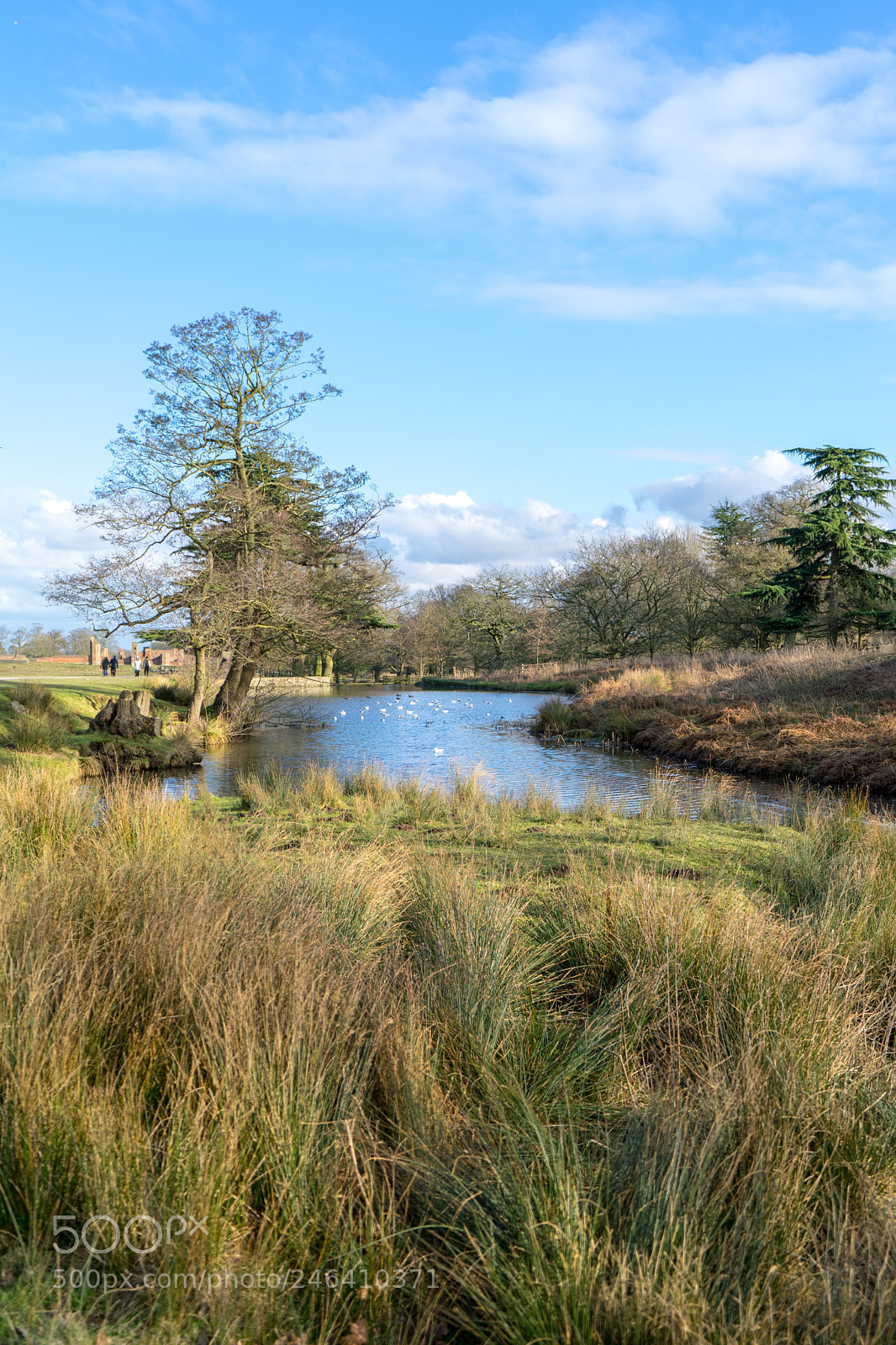 Sony a7 sample photo. Bradgate photography