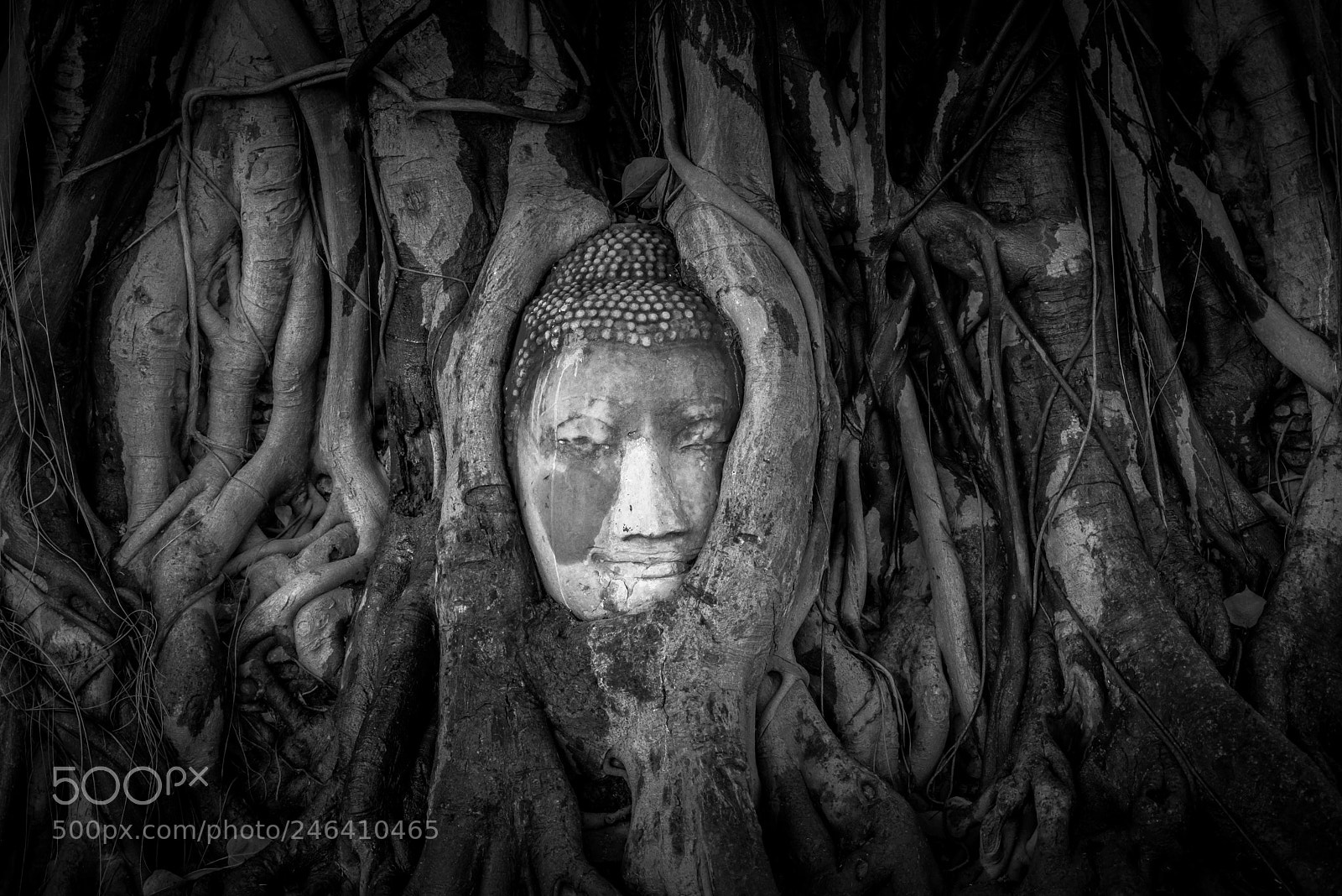 Sony a7R sample photo. Buddha head photography