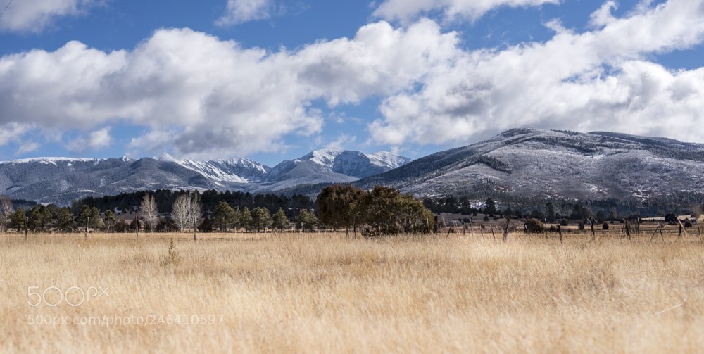 Nikon D810 sample photo. Truchas peaks photography