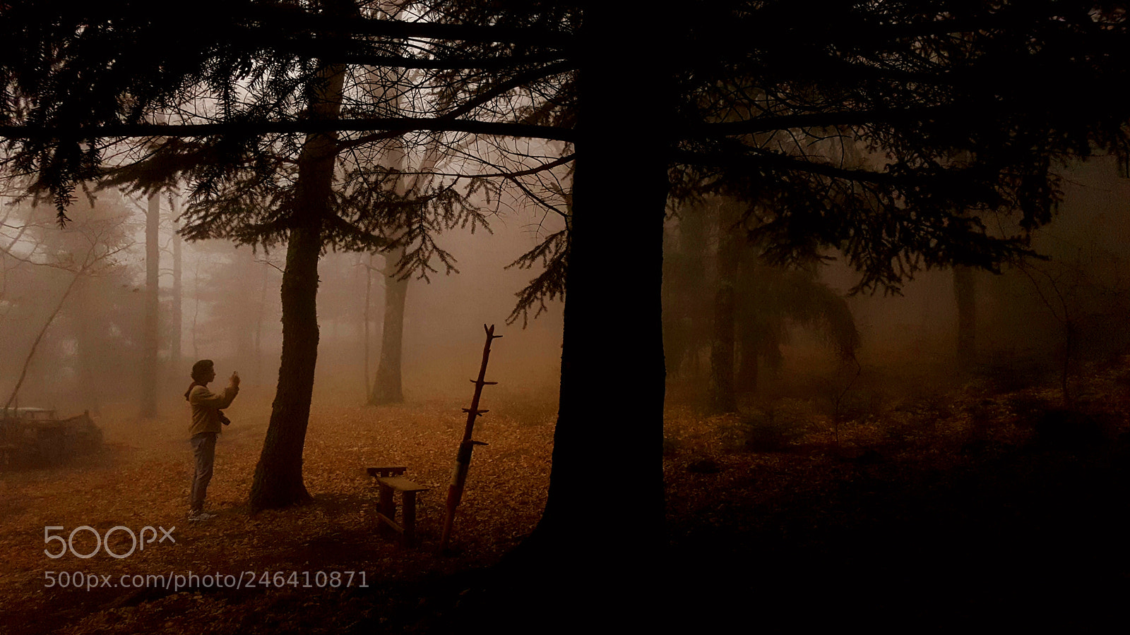 Samsung Galaxy S6 sample photo. Fog landascape in sud photography