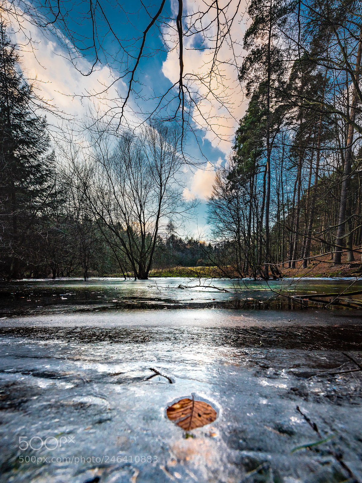 Nikon D810 sample photo. Frozen lake photography