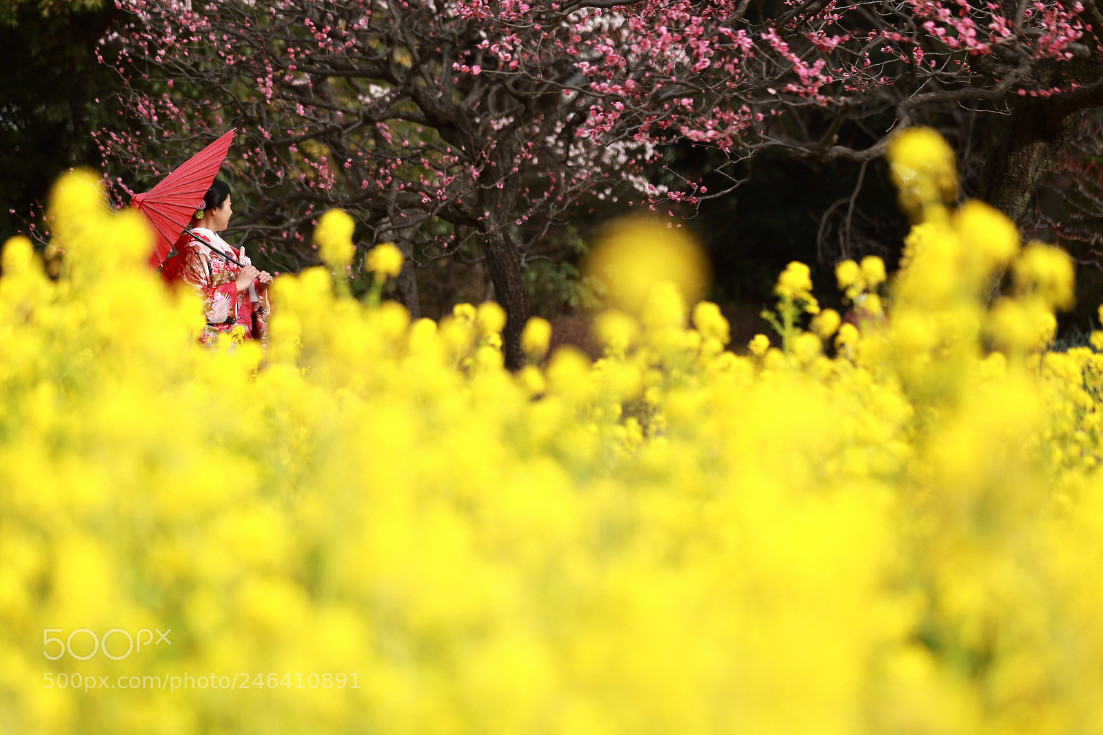 Canon EF 70-200mm F2.8L IS II USM sample photo. A picture bride photography