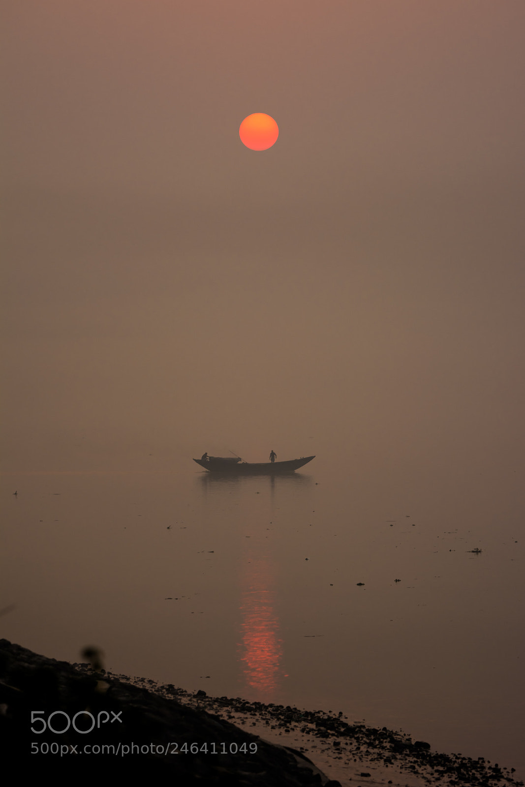 Nikon D7100 sample photo. Morning life photography
